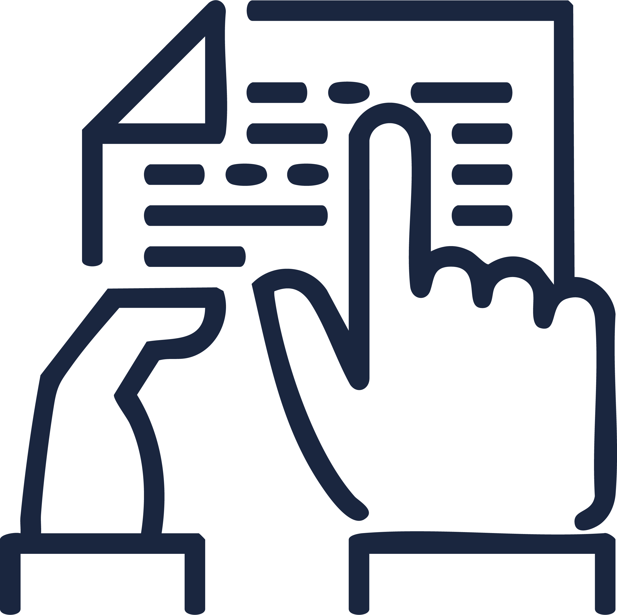 Programas que ofrecen